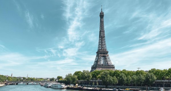 Polygon DApp Rankings