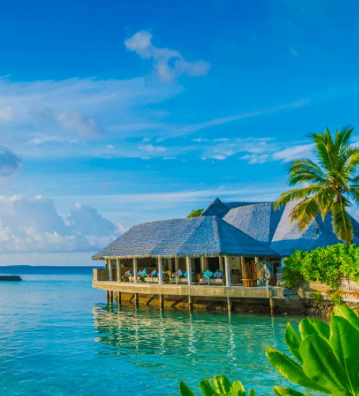 Polygon NFT Marketplaces